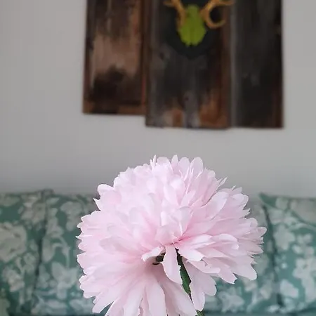 Apartment Bergjuwel Kleinwalsertal *